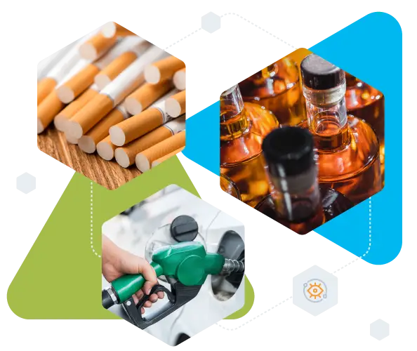 EMCS Sledite premikom trosarinskega blaga bizBox eCustoms